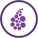Onion Browser Button